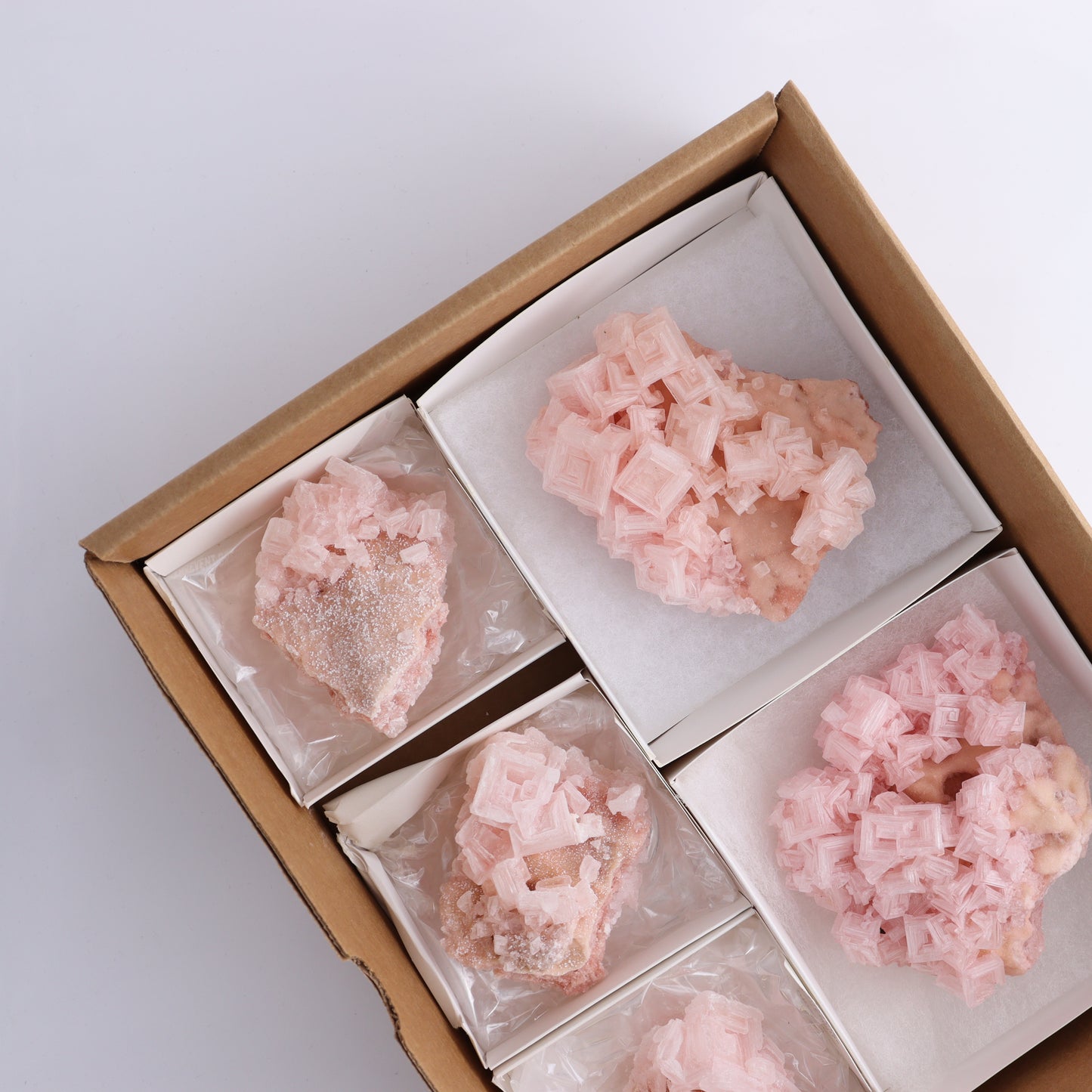 Halite Flat of 5 - Expert Wholesale and Supplier of Wholesale Crystals & Bulk Gemstones, ["Flats","Halite","United States"]