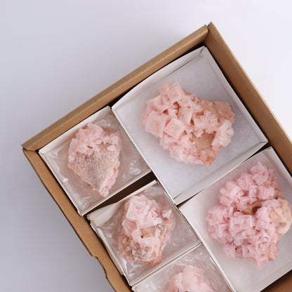 Halite Flat of 5 - Expert Wholesale and Supplier of Wholesale Crystals & Bulk Gemstones, ["Flats","Halite","United States"]