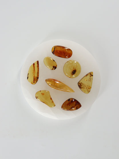 Chiapas Amber Cabs Set of 8 - Expert Wholesale and Supplier of Wholesale Crystals & Bulk Gemstones, ["Chiapas Amber","Mexico","Shapes"]