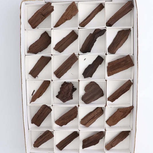Permineralized Wood Flat of 24 - Expert Wholesale and Supplier of Wholesale Crystals & Bulk Gemstones, []