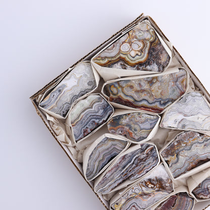 Crazy Lace Agate Flat of 12 - Expert Wholesale and Supplier of Wholesale Crystals & Bulk Gemstones, ["Crazy Lace Agate","Mexico"]