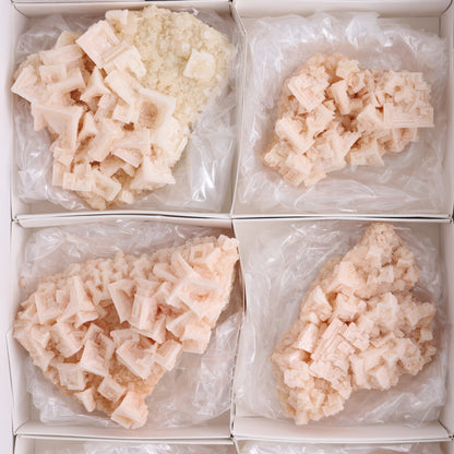 Halite on Trona from Owens Lake Set of 6 - Expert Wholesale and Supplier of Wholesale Crystals & Bulk Gemstones, ["California","close_30","Flats","Halite","halite on trona","Pink Halite","United States"]