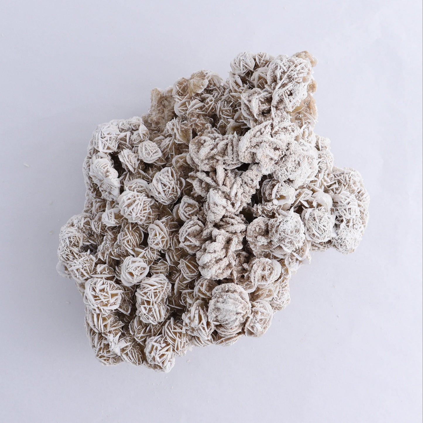 Desert Rose Cluster - Expert Wholesale and Supplier of Wholesale Crystals & Bulk Gemstones, ["Desert Rose","Freeforms"]