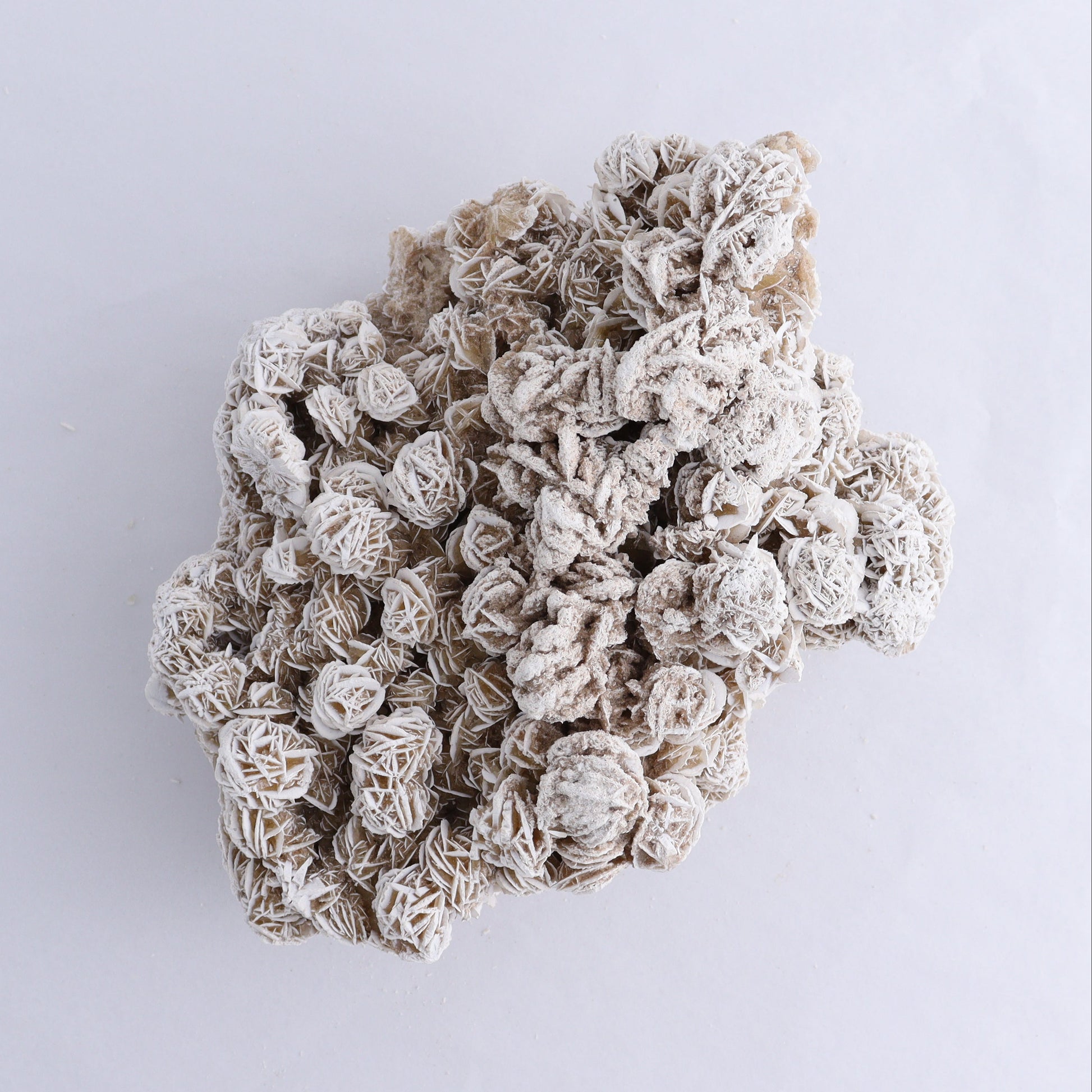 Desert Rose Cluster - Expert Wholesale and Supplier of Wholesale Crystals & Bulk Gemstones, ["Desert Rose","Freeforms"]