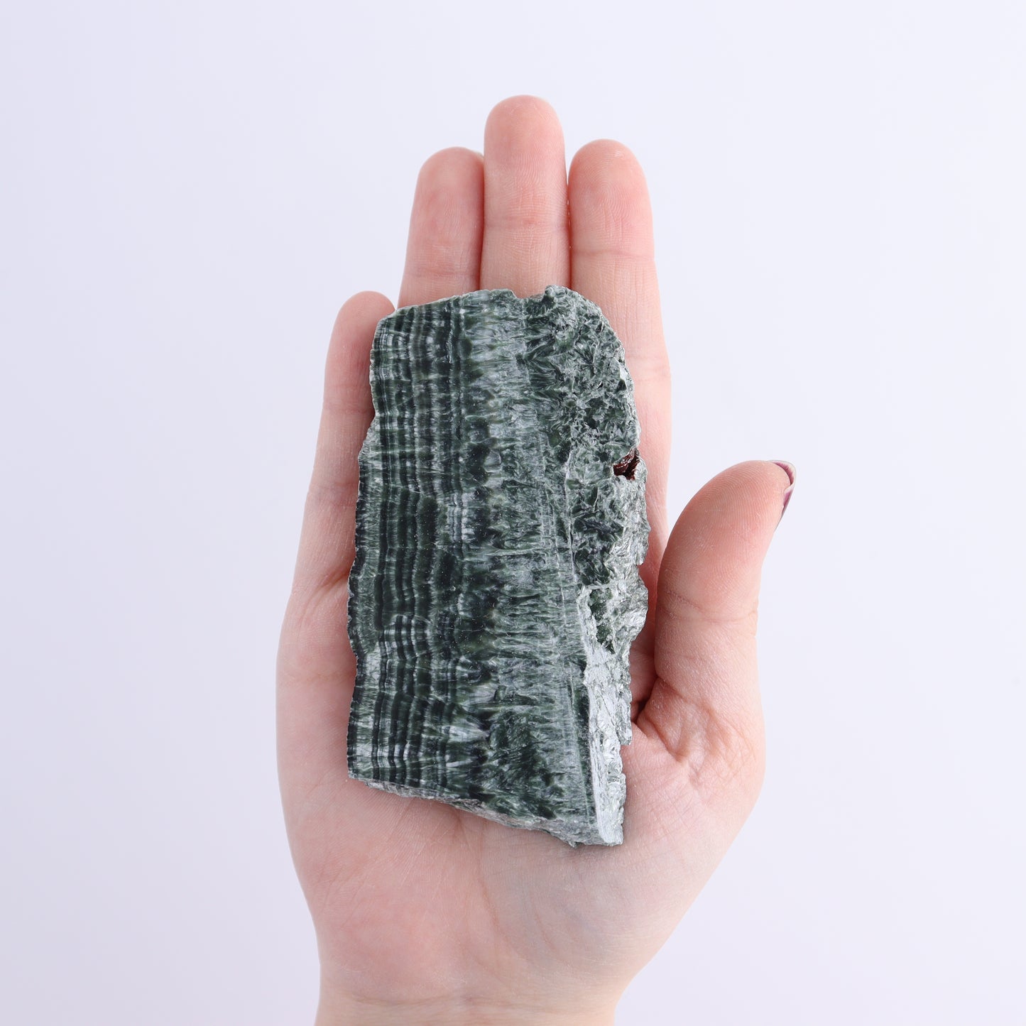Seraphinite Slices Set of 6 - Expert Wholesale and Supplier of Wholesale Crystals & Bulk Gemstones, ["Russia","Seraphinite","Slices and Slabs"]