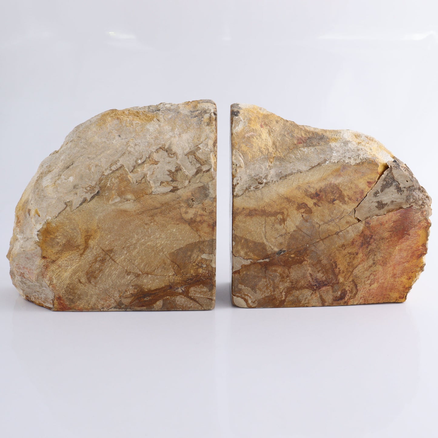 Bookends Petrified Wood - Expert Wholesale and Supplier of Wholesale Crystals & Bulk Gemstones, ["Bookends","Indonesia","Petrified Wood"]