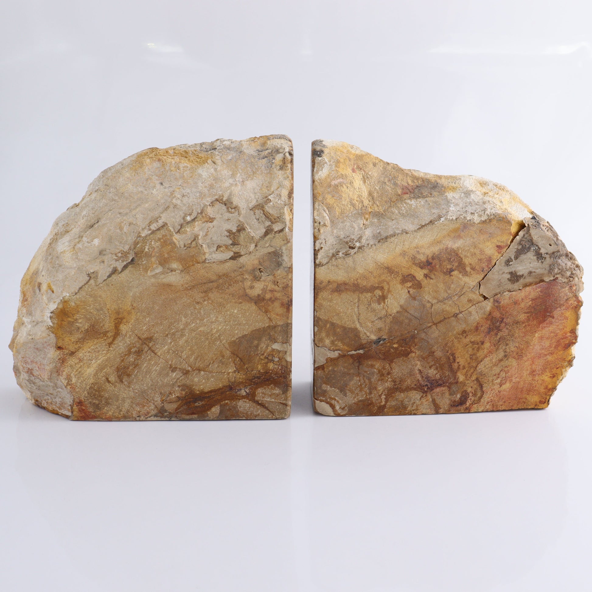Bookends Petrified Wood - Expert Wholesale and Supplier of Wholesale Crystals & Bulk Gemstones, ["Bookends","Indonesia","Petrified Wood"]