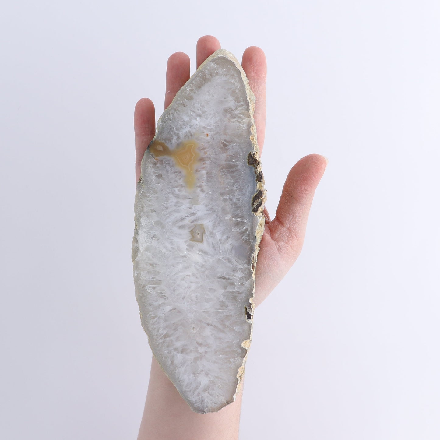 Agate Slices Set of 4 - Expert Wholesale and Supplier of Wholesale Crystals & Bulk Gemstones, ["Agate","Brazil","Slices and Slabs"]