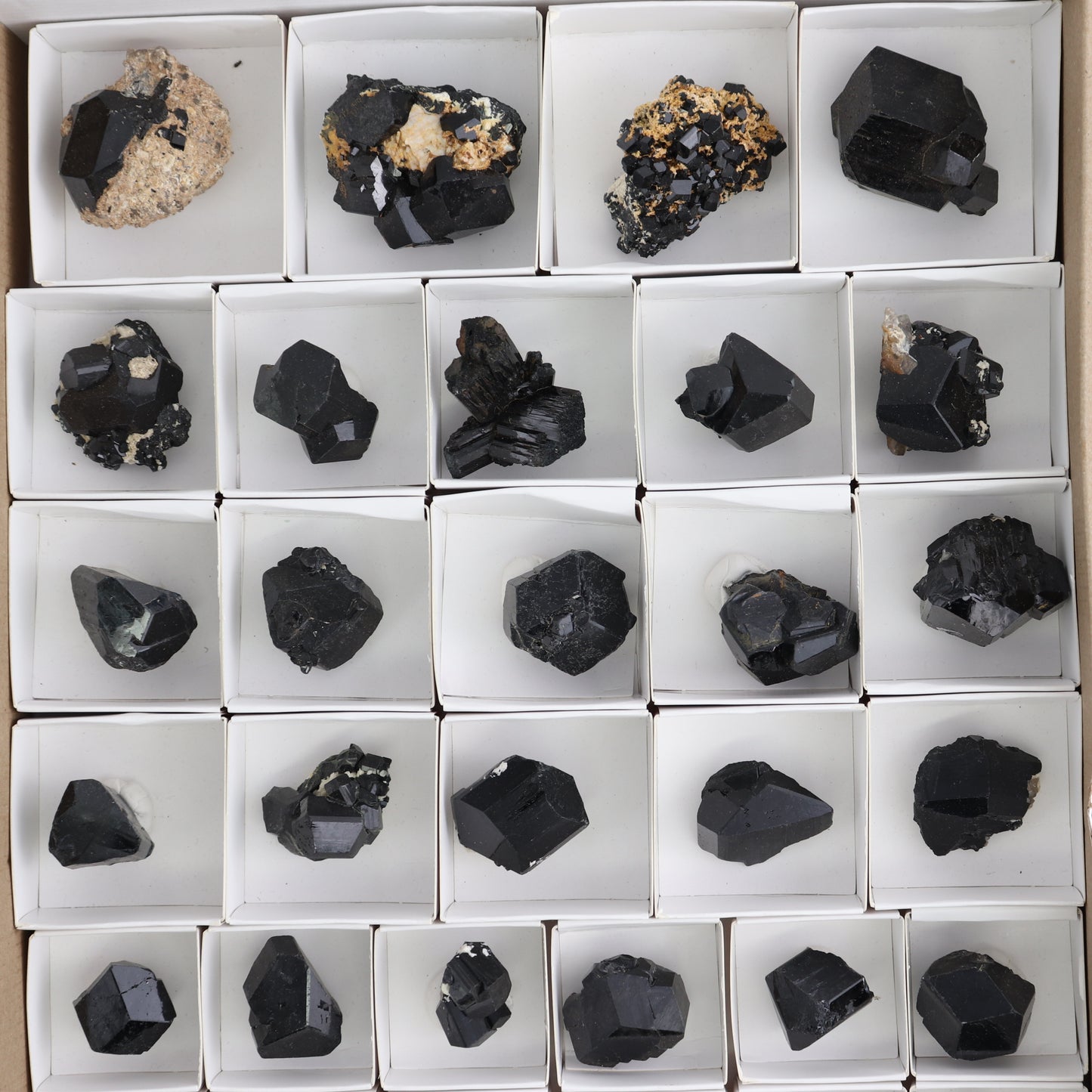 Black Tourmaline Roughs Set of 43