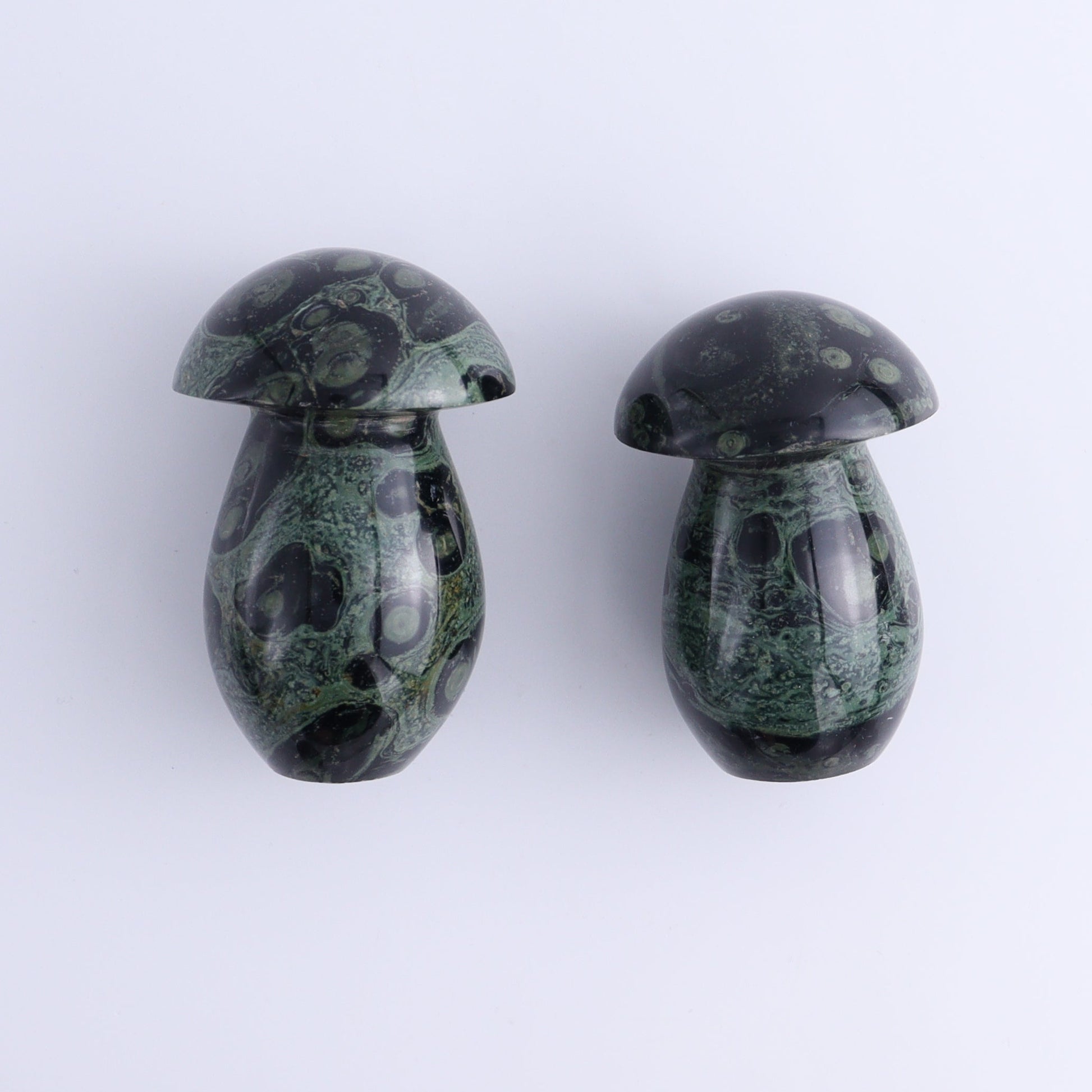 Kambaba Jasper Mushrooms Set of 7 - Expert Wholesale and Supplier of Wholesale Crystals & Bulk Gemstones, ["Kambaba Jasper","Madagascar","Mushrooms"]