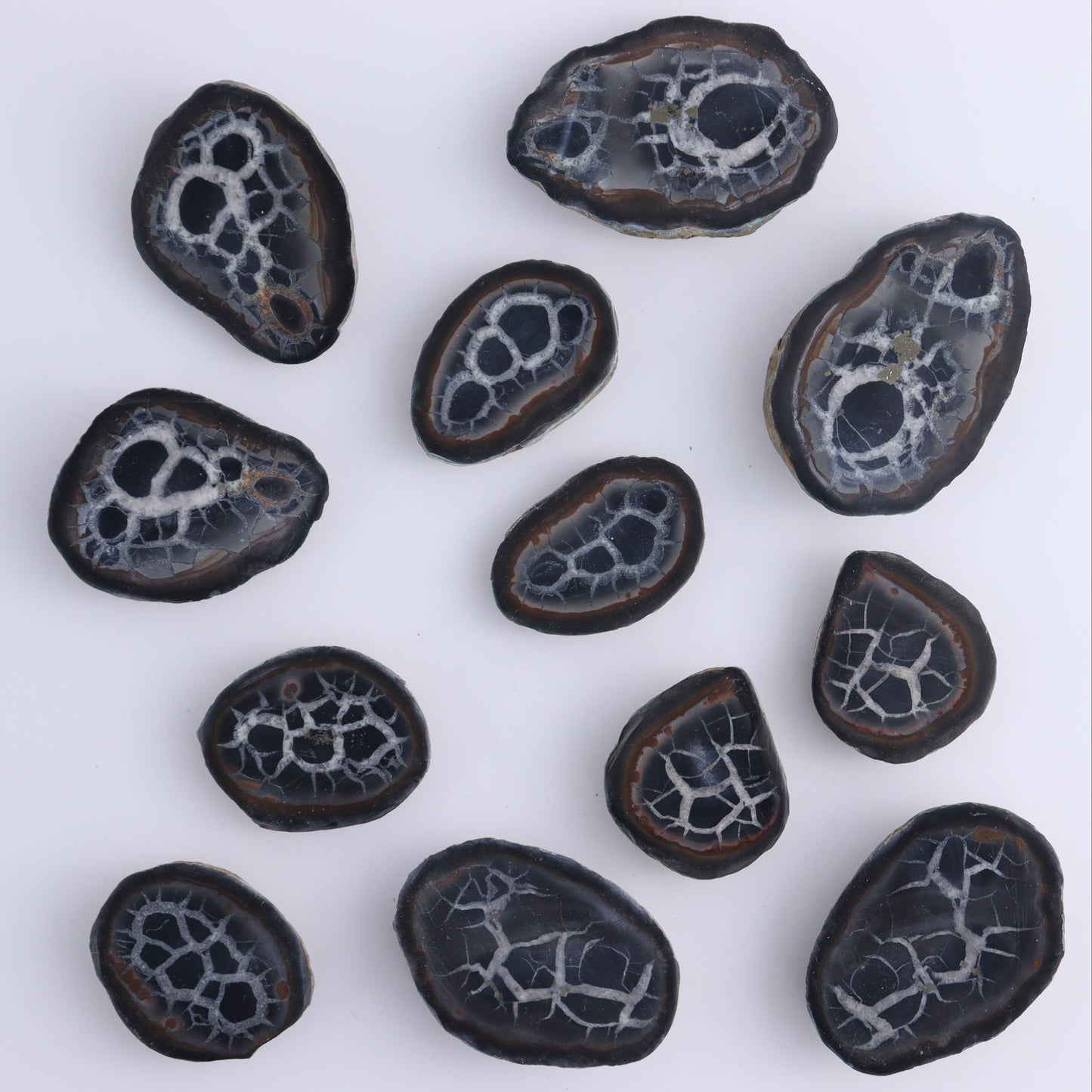 Septarian Geodes Flat - Expert Wholesale and Supplier of Wholesale Crystals & Bulk Gemstones, ["Geodes","Septarian"]