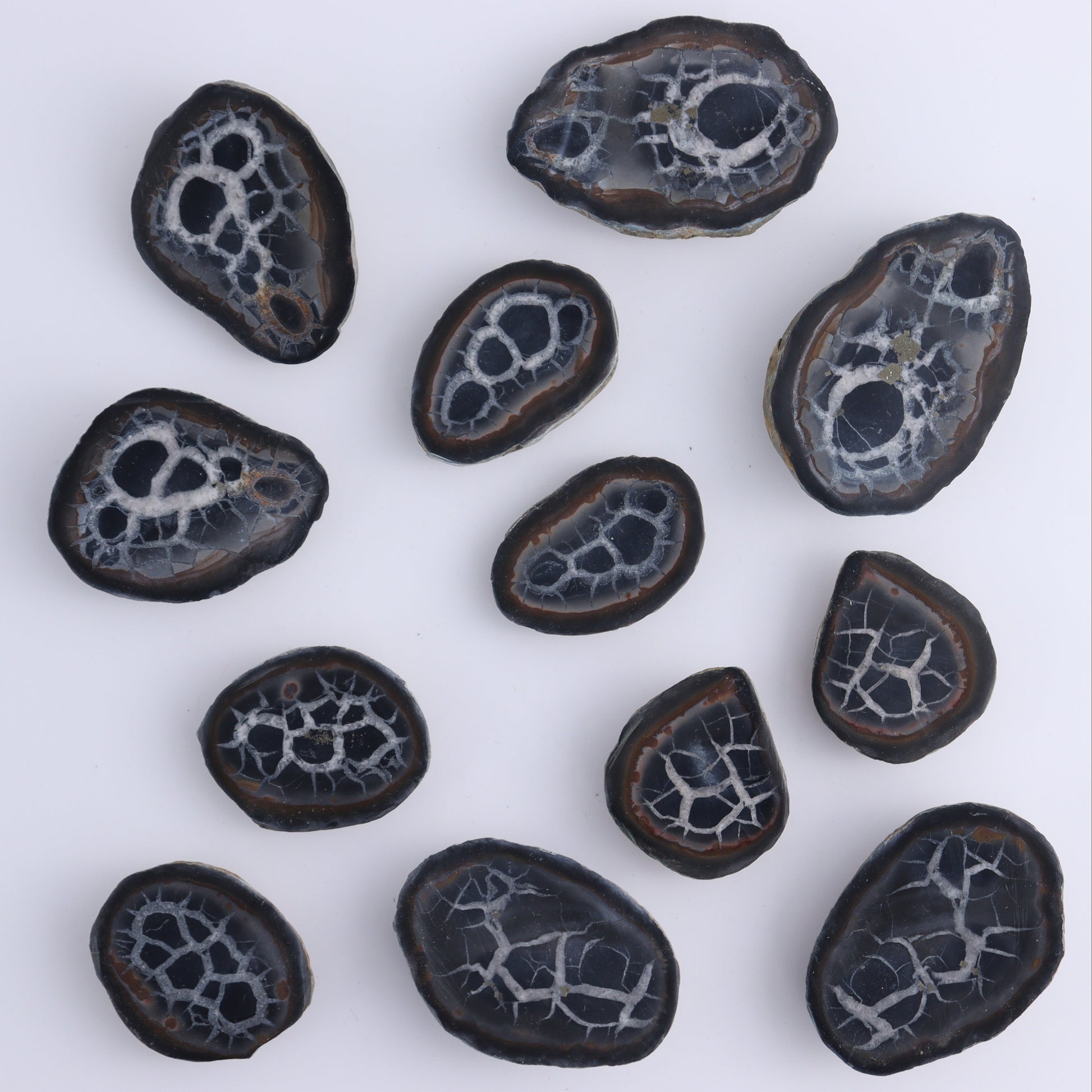 Septarian Geodes Flat - Expert Wholesale and Supplier of Wholesale Crystals & Bulk Gemstones, ["Geodes","Septarian"]