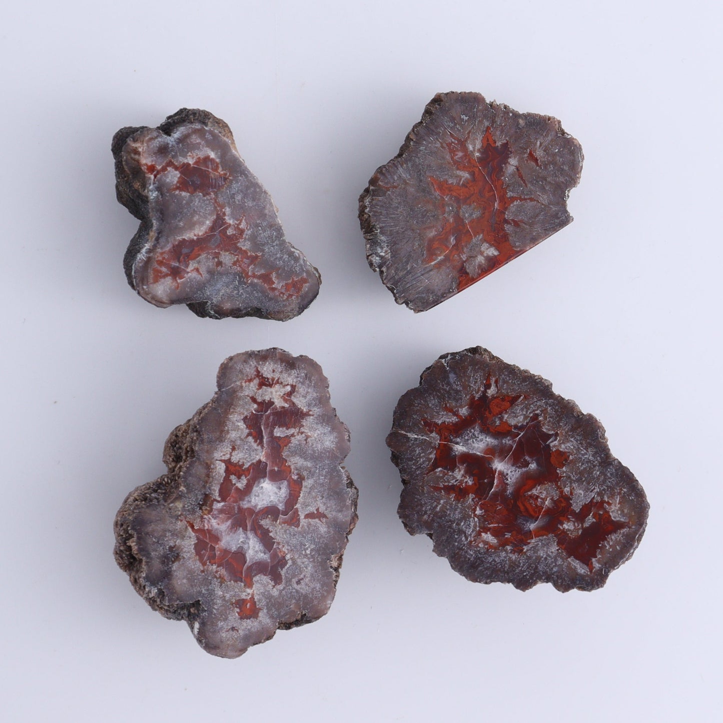Agate Pseudo. Barite Geodes Flat of 34 - Expert Wholesale and Supplier of Wholesale Crystals & Bulk Gemstones, ["Agate","Agate Pseudo Barite","flat","Flats","Geodes","United States"]