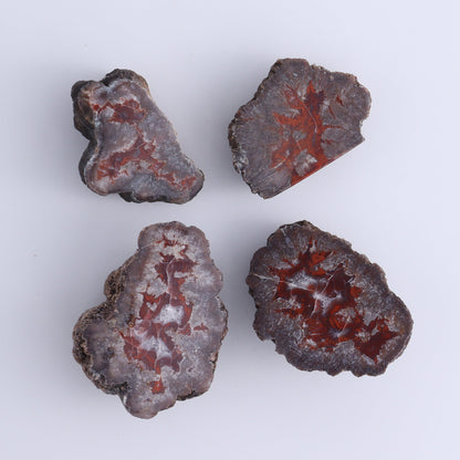 Agate Pseudo. Barite Geodes Flat of 34 - Expert Wholesale and Supplier of Wholesale Crystals & Bulk Gemstones, ["Agate","Agate Pseudo Barite","flat","Flats","Geodes","United States"]