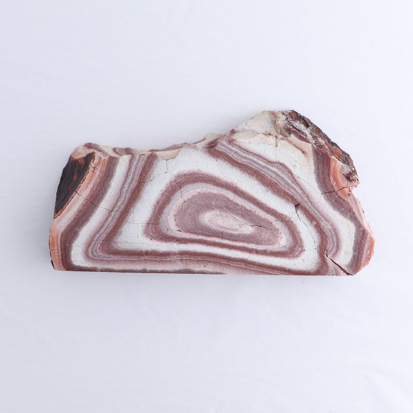 Rhyolite Slabs Set of 5