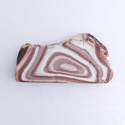 Rhyolite Slabs Set of 5