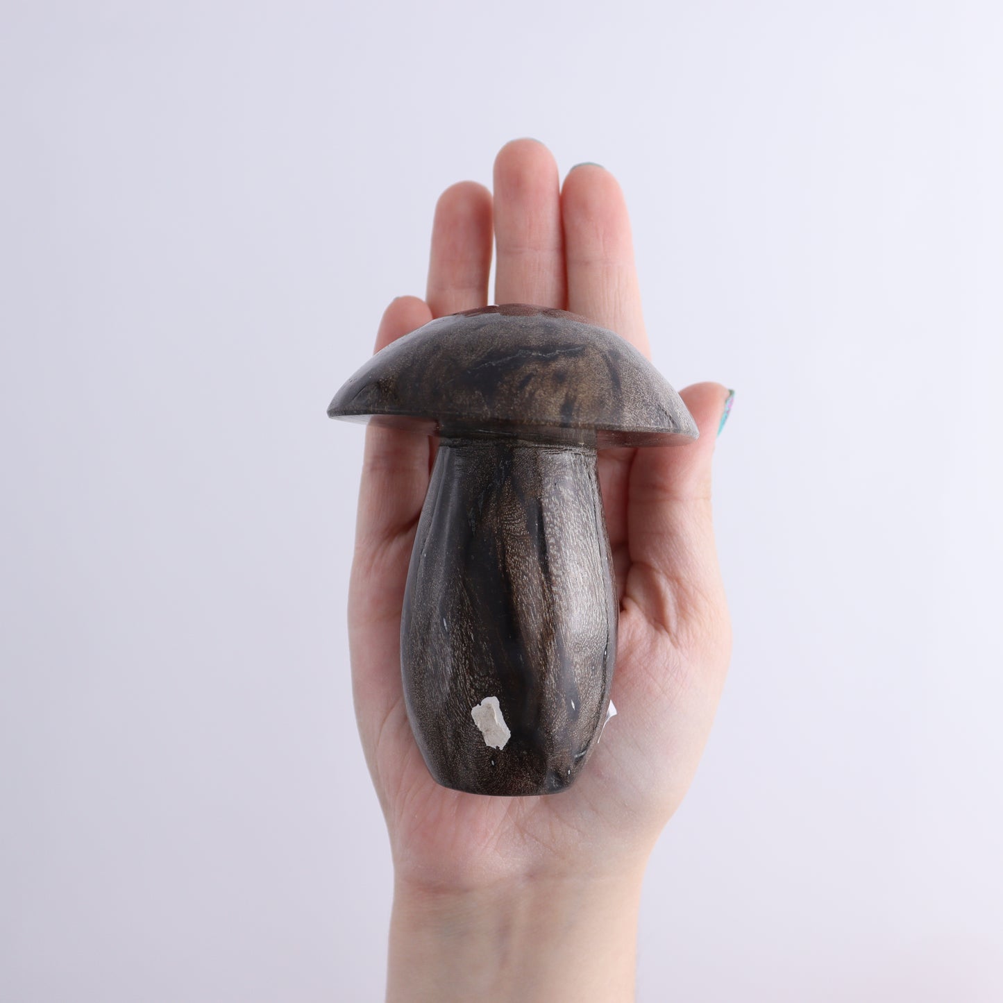 Petrified Wood Mushrooms Set of 4 - Expert Wholesale and Supplier of Wholesale Crystals & Bulk Gemstones, ["Indonesia","Mushrooms","Petrified Wood"]