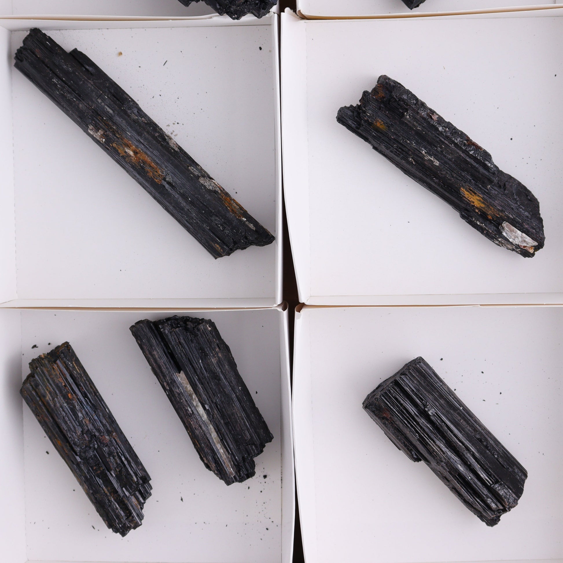 Black Tourmaline Roughs Set of 8 - Expert Wholesale and Supplier of Wholesale Crystals & Bulk Gemstones, ["Black Tourmaline","Rough","Tourmaline"]