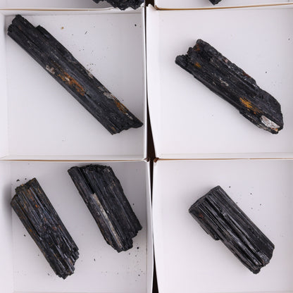 Black Tourmaline Roughs Set of 8 - Expert Wholesale and Supplier of Wholesale Crystals & Bulk Gemstones, ["Black Tourmaline","Rough","Tourmaline"]