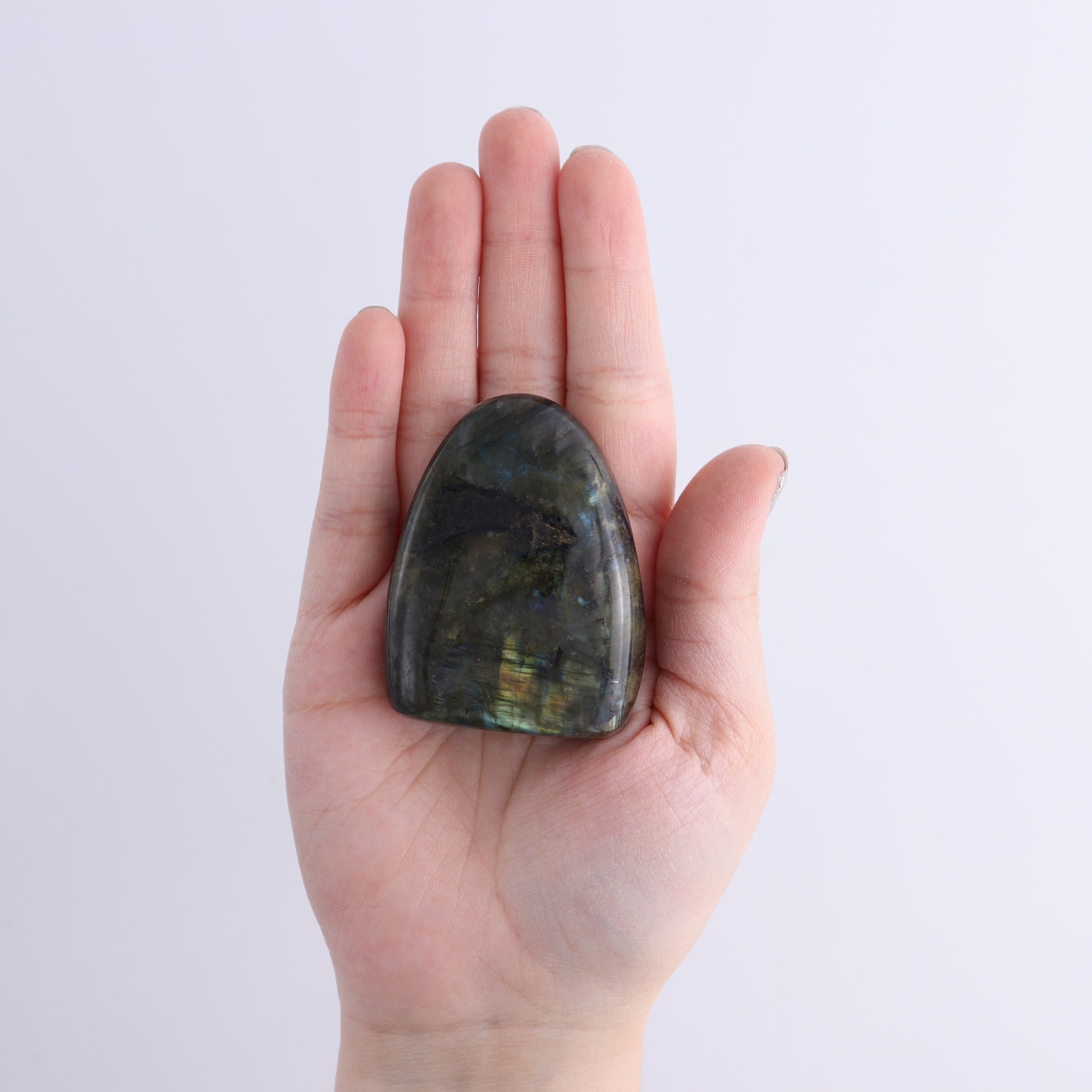 Labradorite Freeform Set of 18 - Expert Wholesale and Supplier of Wholesale Crystals & Bulk Gemstones, ["Freeforms","Labradorite","Madagascar"]