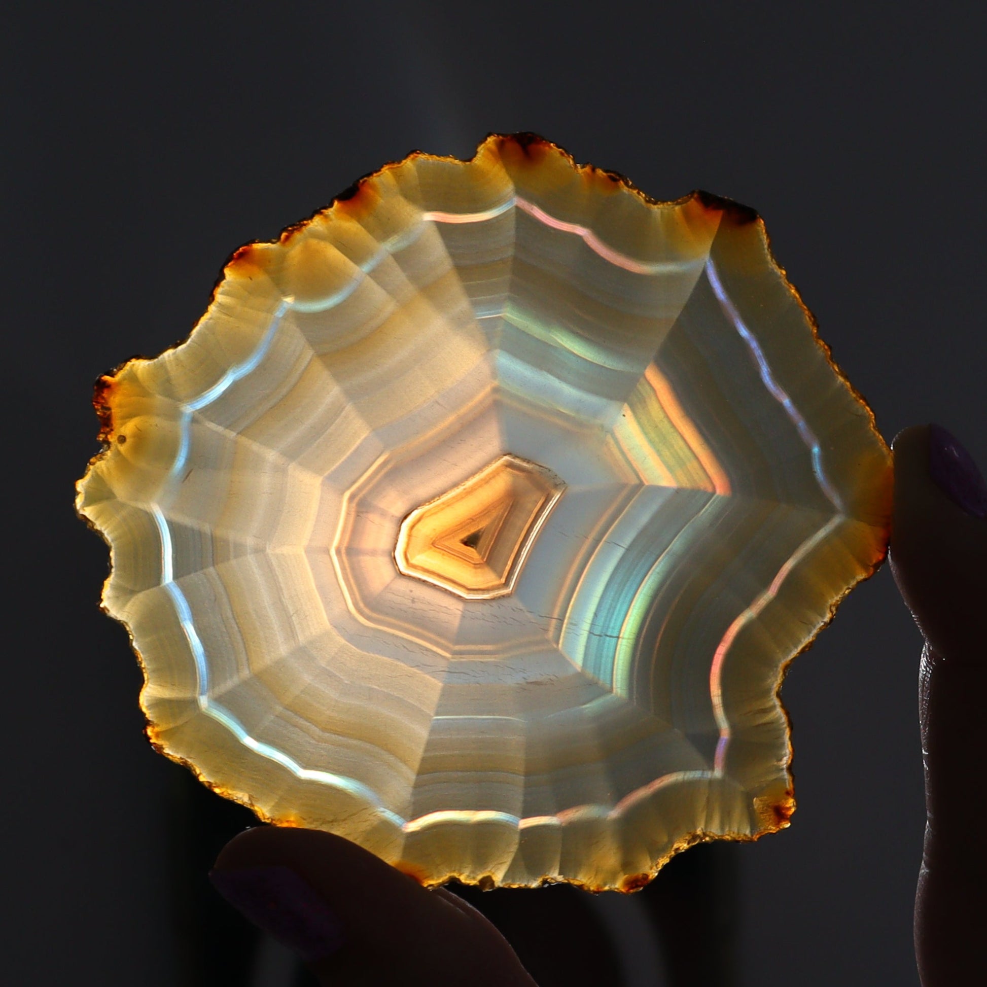 Iris Agate Slices Set of 6 - Expert Wholesale and Supplier of Wholesale Crystals & Bulk Gemstones, ["Agate","Iris Agate","Slices and Slabs"]