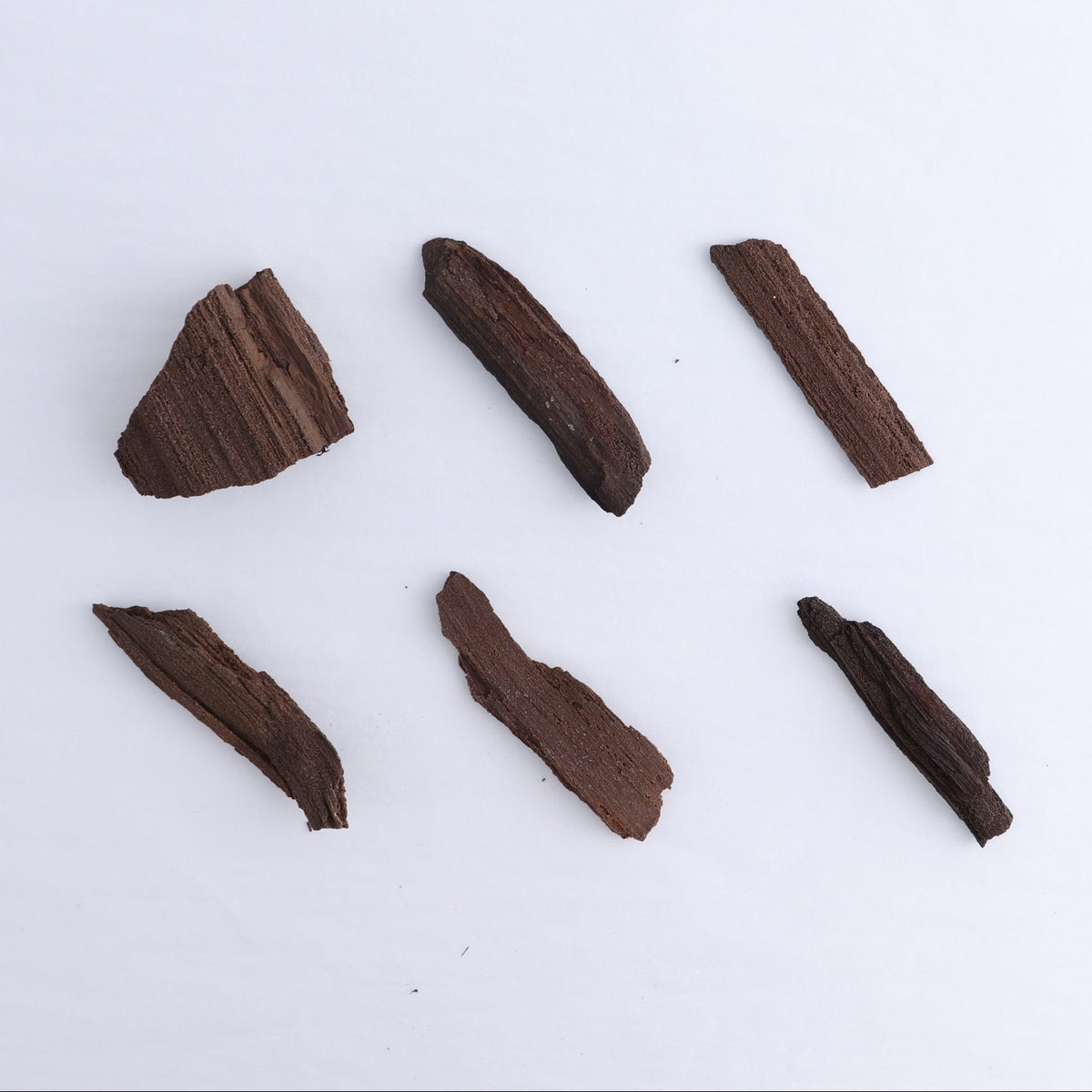 Permineralized Wood Flat of 6