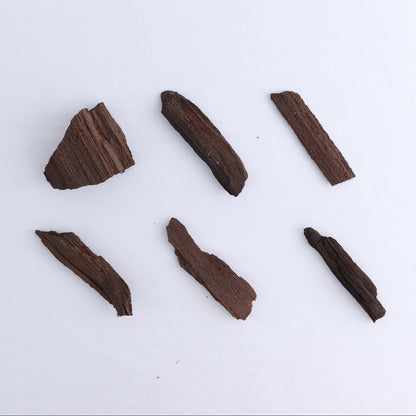 Permineralized Wood Flat of 6