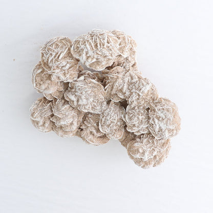 Desert Rose Set of 2
