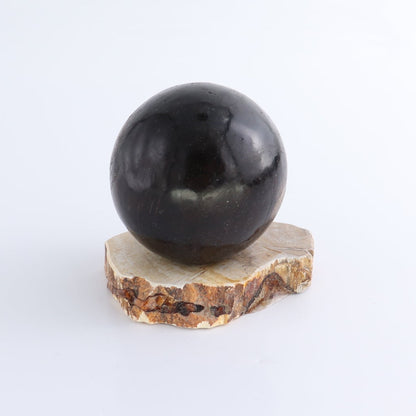 One Small Petrified Wood Sphere Holder