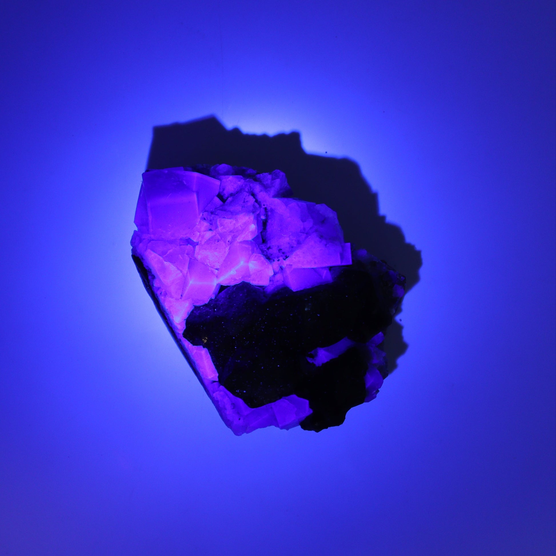 Fluorite Purple Rain Pocket Set of 7 - Expert Wholesale and Supplier of Wholesale Crystals & Bulk Gemstones, ["close_50","England","Fluorite","Purple Rain Pocket","Rough"]