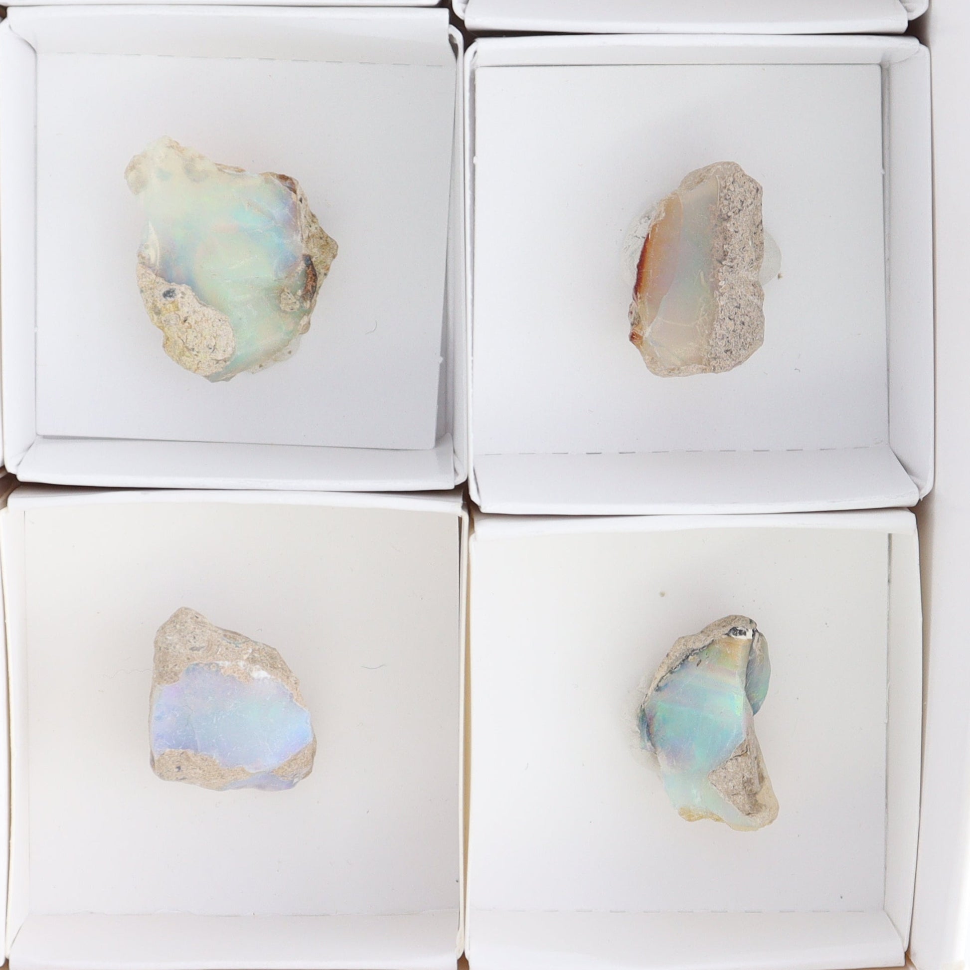 Ethiopian Opal Set of 10 - Expert Wholesale and Supplier of Wholesale Crystals & Bulk Gemstones, ["Ethiopia","ethiopian opal","Opal"]