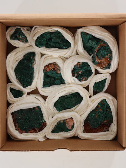 Malachite Flat Set of 12