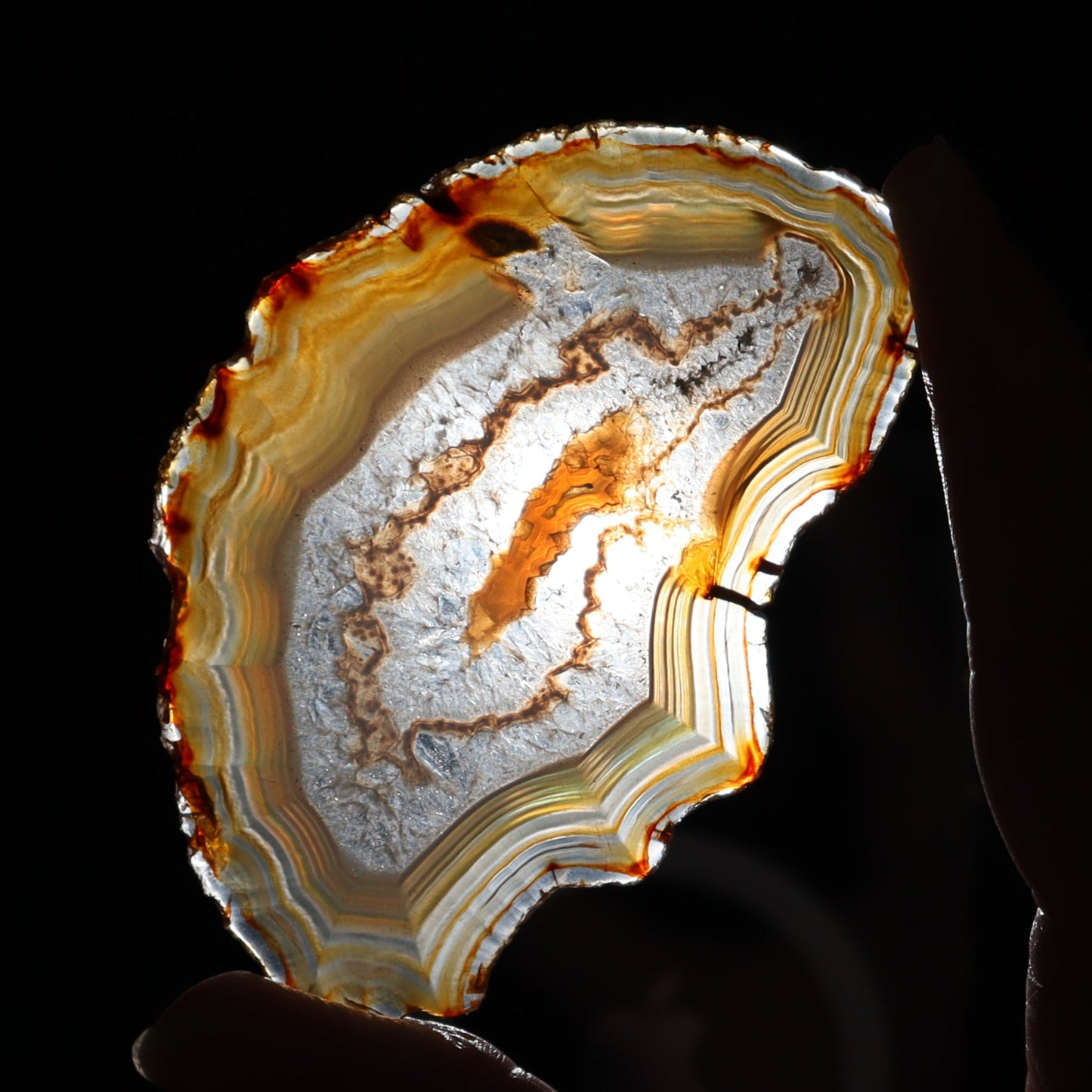 Iris Agate Slices Set of 6 - Expert Wholesale and Supplier of Wholesale Crystals & Bulk Gemstones, ["Agate","Iris Agate","Slices and Slabs"]