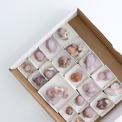 Cactus Quartz Set of 19