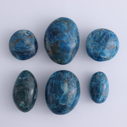 Apatite Palm Stones 1 kg Set - Expert Wholesale and Supplier of Wholesale Crystals & Bulk Gemstones, ["Apatite","Madagascar","Palm Stones"]