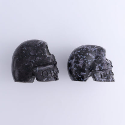 Indigo Gabbro Skulls Set of 2 - Expert Wholesale and Supplier of Wholesale Crystals & Bulk Gemstones, ["Indigo Gabbro","Madagascar","Skulls"]