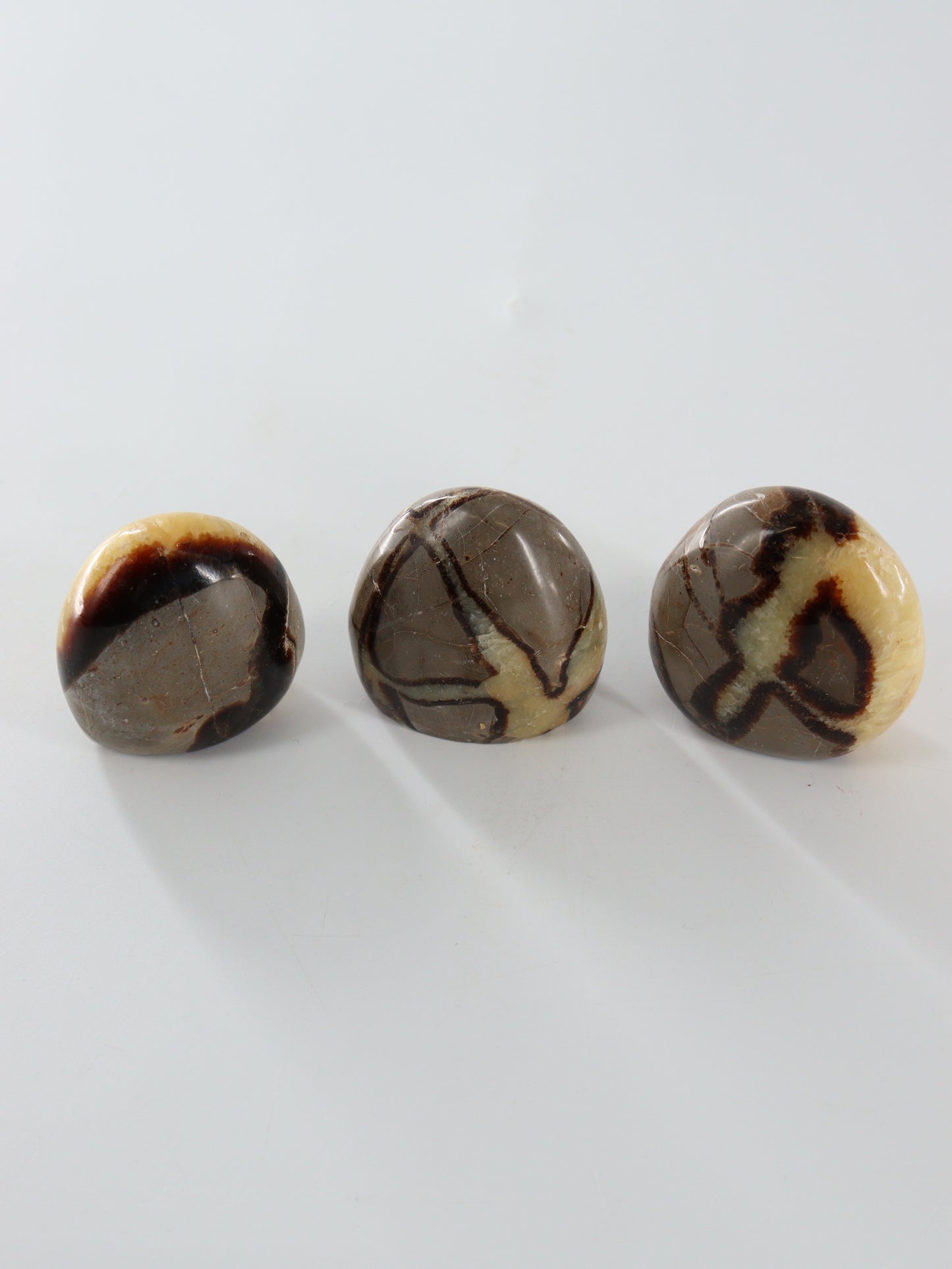 Septarian Freeforms Set of 12 - Expert Wholesale and Supplier of Wholesale Crystals & Bulk Gemstones, []