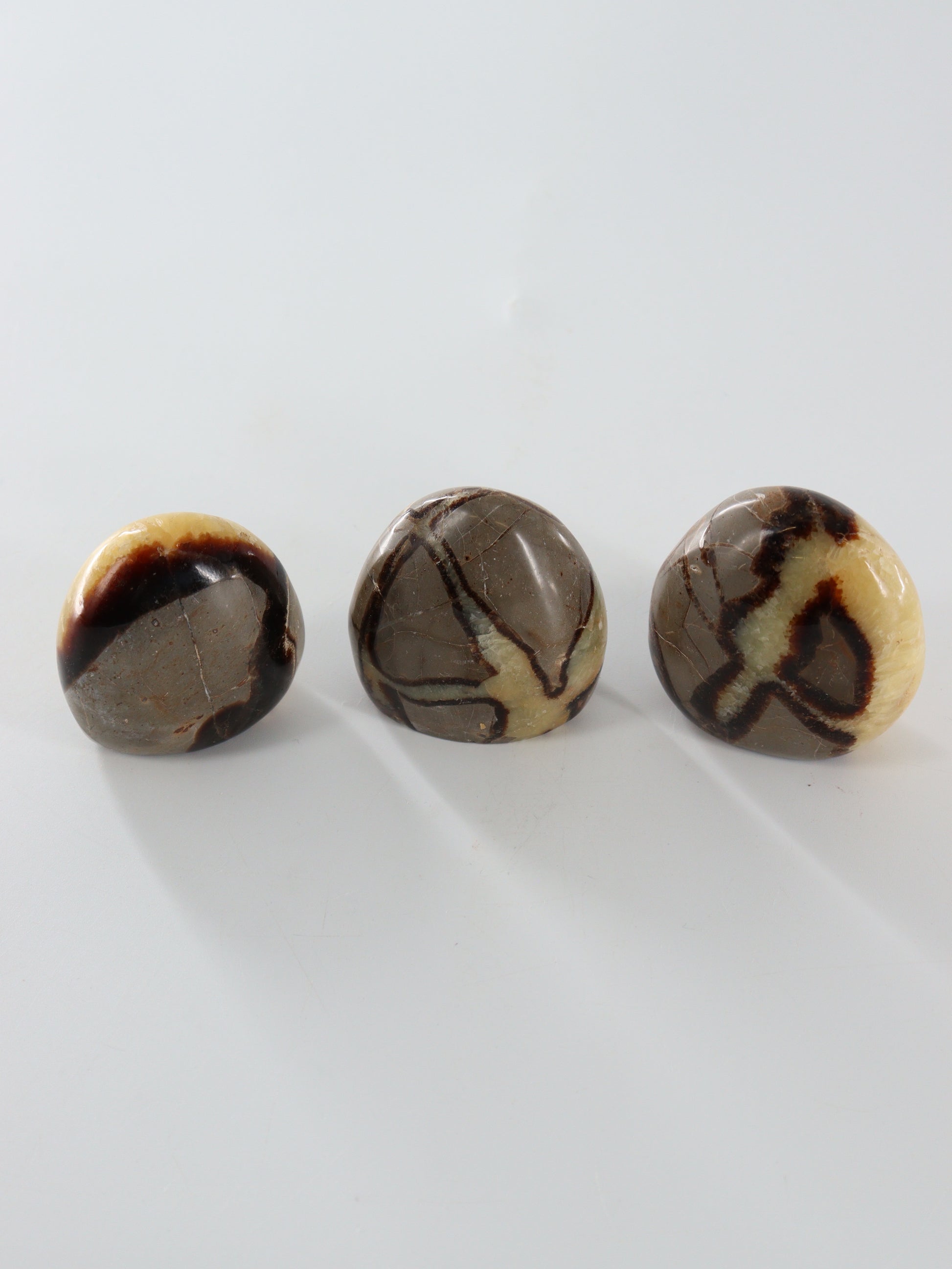 Septarian Freeforms Set of 12 - Expert Wholesale and Supplier of Wholesale Crystals & Bulk Gemstones, []