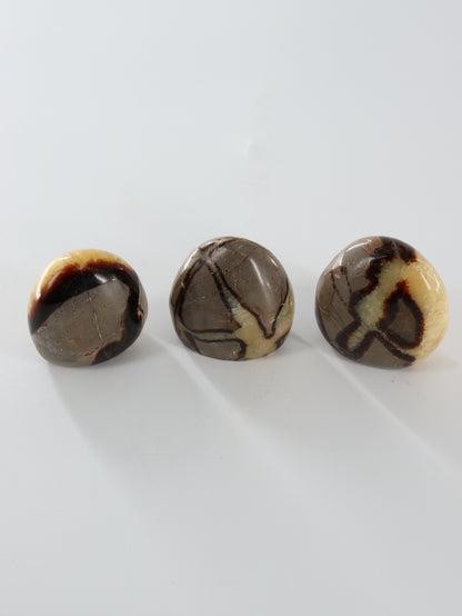 Septarian Freeforms Set of 12 - Expert Wholesale and Supplier of Wholesale Crystals & Bulk Gemstones, []