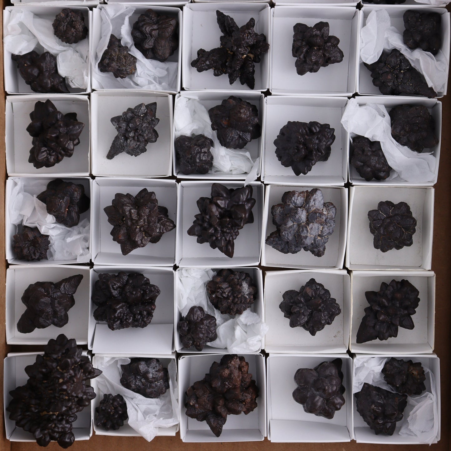 Egyptian Prophecy Stones Flat of 42 - Expert Wholesale and Supplier of Wholesale Crystals & Bulk Gemstones, ["Egypt","Freeforms","Prophecy Stone"]