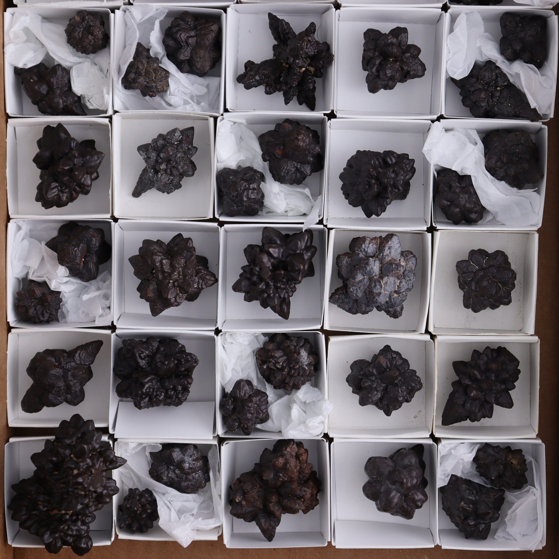 Egyptian Prophecy Stones Flat of 42 - Expert Wholesale and Supplier of Wholesale Crystals & Bulk Gemstones, ["Egypt","Freeforms","Prophecy Stone"]