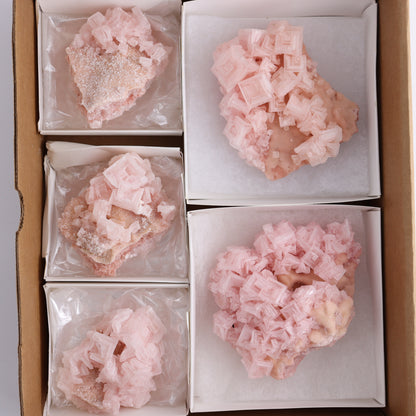 Halite Flat of 5 - Expert Wholesale and Supplier of Wholesale Crystals & Bulk Gemstones, ["Flats","Halite","United States"]