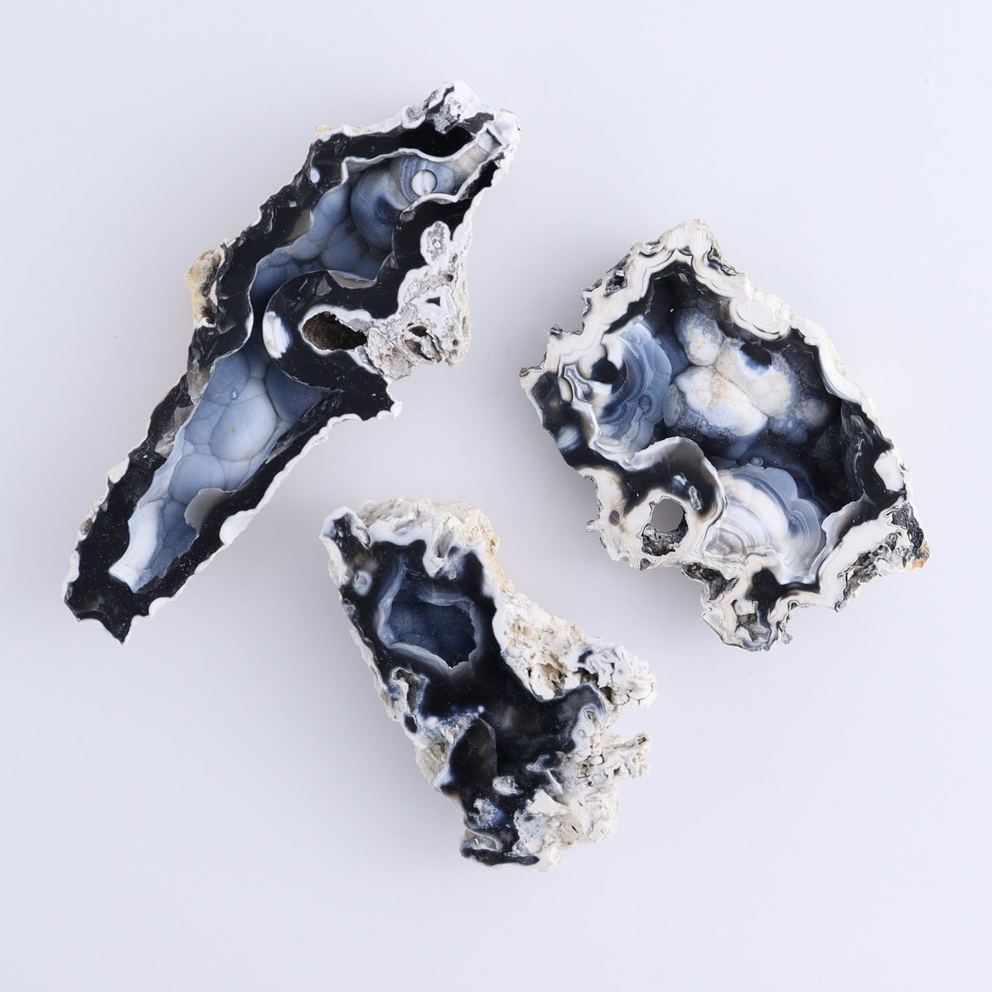 Agatized Coral Flat - Expert Wholesale and Supplier of Wholesale Crystals & Bulk Gemstones, ["Agate","Agatized Coral","Coral","United States"]