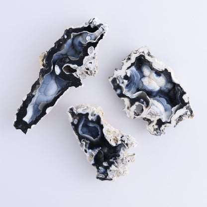 Agatized Coral Flat - Expert Wholesale and Supplier of Wholesale Crystals & Bulk Gemstones, ["Agate","Agatized Coral","Coral","United States"]