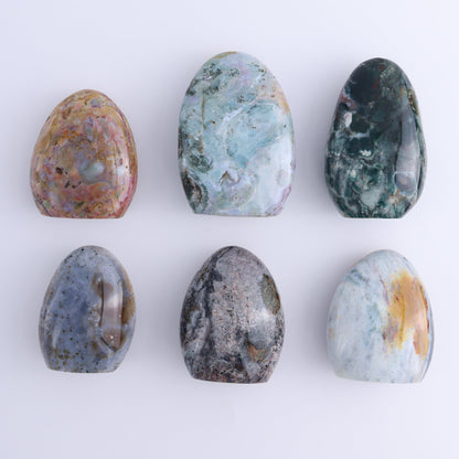 Ocean Jasper Freeform Set of 6 - Expert Wholesale and Supplier of Wholesale Crystals & Bulk Gemstones, ["Freeforms","jasper","Ocean Jasper"]