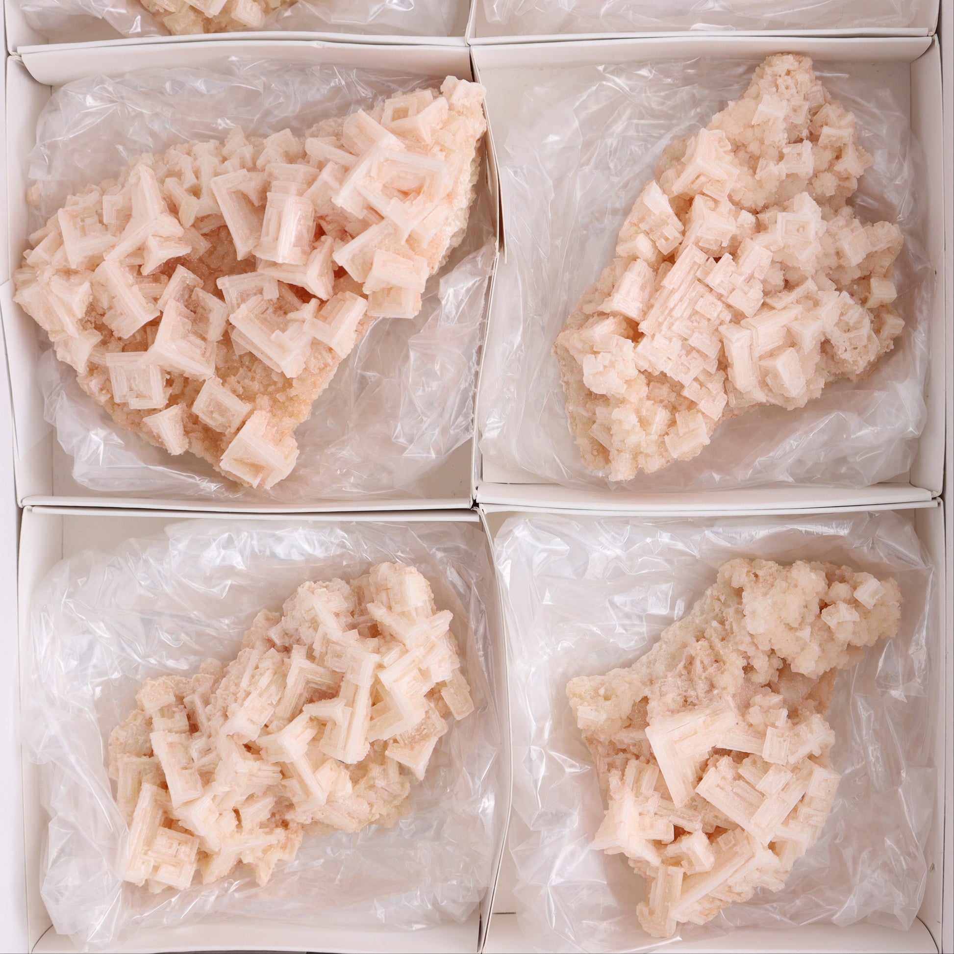 Halite on Trona from Owens Lake Set of 6 - Expert Wholesale and Supplier of Wholesale Crystals & Bulk Gemstones, ["California","close_30","Flats","Halite","halite on trona","Pink Halite","United States"]