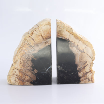 Bookends Petrified Wood - Expert Wholesale and Supplier of Wholesale Crystals & Bulk Gemstones, ["Bookends","Indonesia","Petrified Wood"]