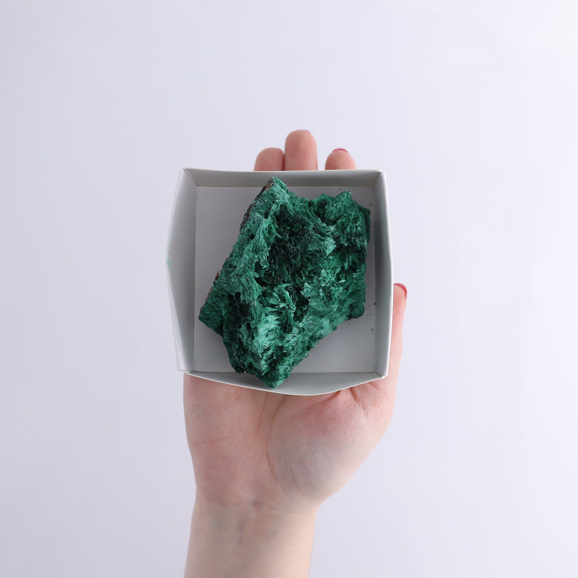 Malachite Flat of 12 - Expert Wholesale and Supplier of Wholesale Crystals & Bulk Gemstones, ["Congo","Flats","Malachite"]