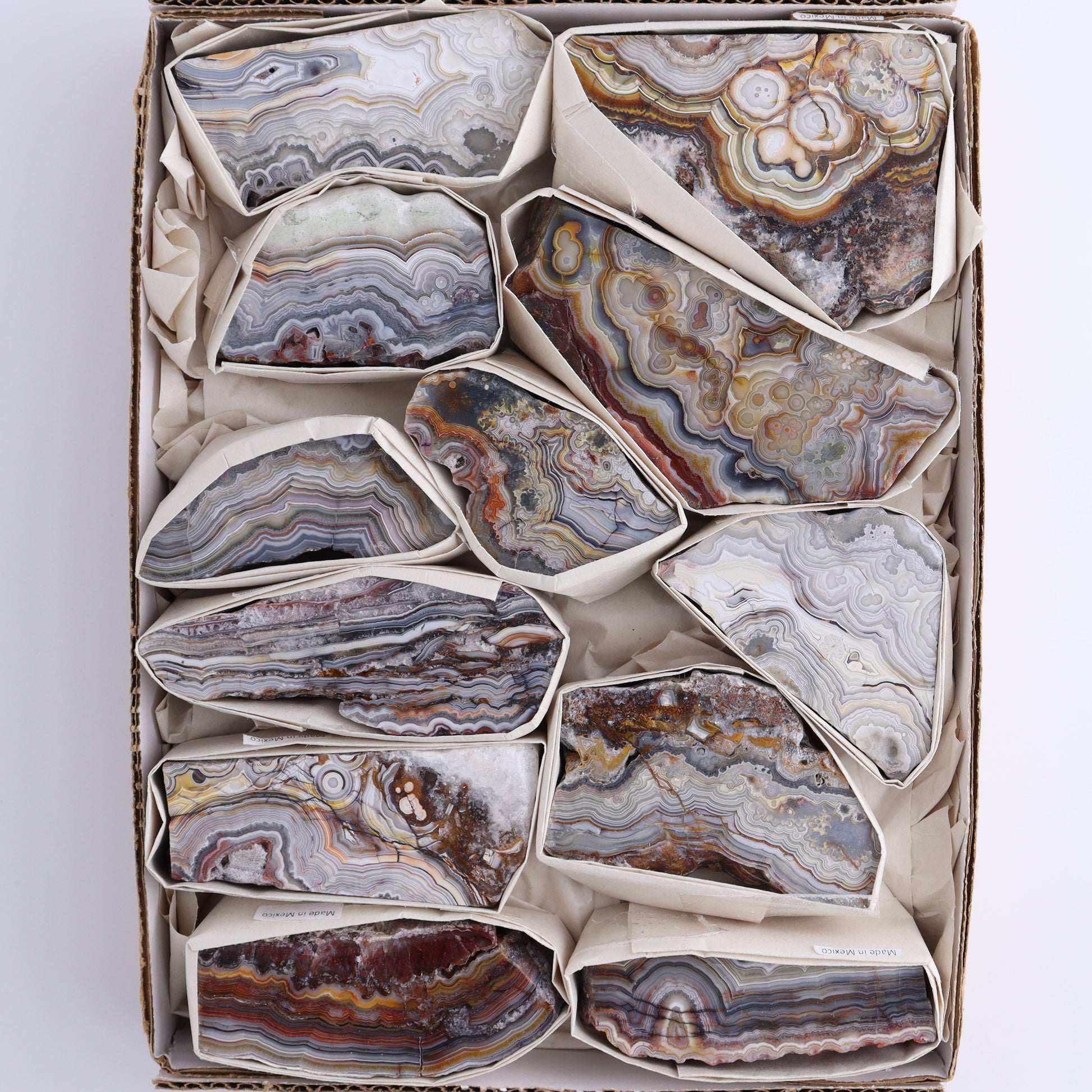 Crazy Lace Agate Flat of 12 - Expert Wholesale and Supplier of Wholesale Crystals & Bulk Gemstones, ["Crazy Lace Agate","Mexico"]