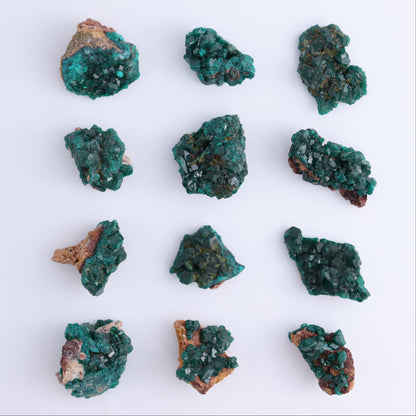 Dioptase Set of 12 - Expert Wholesale and Supplier of Wholesale Crystals & Bulk Gemstones, ["dioptase","Freeform","Freeforms"]